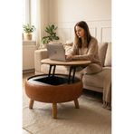 Zem İriva Sandıklı Mekanizmalı Orta Sehpa/Bench, Taba