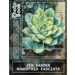 Zen Garden Haworthia Fasciata Photo Book: Collection of 40 Stunning Images for Plant Enthusiasts and Terrarium Decor