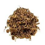 Zencefil Organik 1 kg Kedi Otu