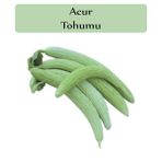 Zencefil Organik 10 gr 300 Adet Acur Tohumu
