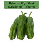 Zencefil Organik 10x1000 Adet Üç Burun Biber Tohumu