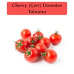 Zencefil Organik 1x250 Adet Cherry Domates Salkım Domates Tohumu