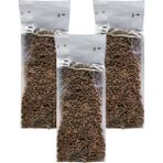 Zencefil Organik 3 Paket Anason Tohumu