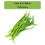 Zencefil Organik 5x700 Adet Tatlı Biber Tohumu