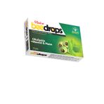 Zencefil Organik Balen Okaliptüs Mentol Ve Nane Aromalı Pastil Bitkisel Drops 24 Adet Menthol Okaliptus