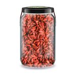 Zencefil Organik Goji Berry Bi Kavanoz 660 cc. Cam Kavanozda Katkısız Kuru Goji Berry Üzümü Pure Dried Goji Berries