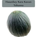 Zencefil Organik Hasanbey Kavun Tohumu 1 Paket (10GR=300+ Adet) Kara Kavun Tohumu - 10 gr