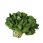 Zencefil Organik Ispanak Tohumu 1 Paket (10Gr=950+ Adet) Matador Ispanak Tohumu