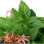 Zengarden Acem Fesleğeni Tohumu Anoson Aromalı Anise Basil - 1 Adet