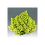 ZENGARDEN EV VE BAHÇE İtalyan romanesco brokoli tohumu