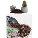 ZENGARDEN EV VE BAHÇE Kaktüs Toprağı Profesyonel Kaktüs Lithops Ve Sukkulent Bitkiler Için Karışım