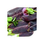 ZENGARDEN EV VE BAHÇE Şiraz siyah bezelye tohumu shiraz snow pea purple mangetout