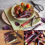 Zengarden Kırmızı bamya tohumu red burgundy (20 tohum)