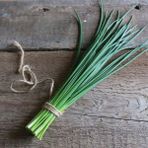 Zengarden Staro Frenk Soğanı Tohumu Soğanotu Chives - 1 Paket