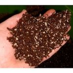 Zengin Karışım Çiçek Bonsai Ağacı Toprağı 3 Litre Çiçek Toprağı