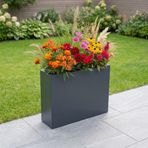 Zenith 80x20x60 cm Metal Dikdörtgen Saksılık - İç ve Dış Mekan Modern Saksı (Antrasit)