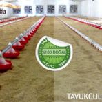 Zeolit Hayvan Altlığı 25 Kg