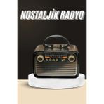 Zero Land Lvsqvr Nostaljik Radyo Bluetooth Bağlantılı Müzik Kutusu Ahşap