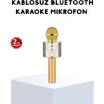 Zero Land Sptrns Karaoke Mikrofonu Bluetooth USB Aux Girişli Yankı Efektli - Pembe