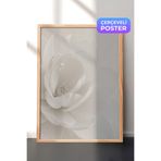 Zestia Ahşap Çerçeveli Duvar Tablosu Beyaz Porselen Çiçek Sakin Minimal Kompozisyon Yatak Odası Dekoru, 21 x 30