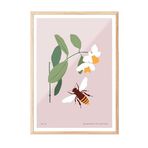 Zestia Ahşap Çerçeveli Tablo, Arı ve Çiçek Minimal -Doğanın Uyumu, Mutfak Dekoru Poster No: 100812 70 x 100