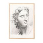 Zestia Ahşap Çerçeveli Tablo, Klasik Heykel Portresi Çizim, Ofis Dekoru Poster No: 113633 50 x 70
