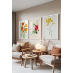 Zestia Beyaz Çerçeveli 3’lü Tablo Seti, Botanik Çiçekler – Renkli Eskiz, Salon Set No: 30125 50 x 70