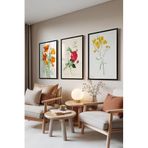 Zestia Siyah Çerçeveli 3’lü Tablo Seti Botanik Çiçekler – Renkli Eskiz Salon Set 30125, 10 x 15