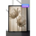 Zestia Siyah Çerçeveli Duvar Tablosu Şeffaf Gelincik Çiçeği Nötr Ton Minimal Fotoğraf Salon Dekoru, 15 x 21