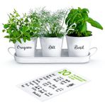 ZESTIGREENS Bitki saksısı seti, tepsili, iç mekan, bahçe veya dış mekan kullanımı için, beyaz metal, etli saksı, mutfak pencere pervazı için