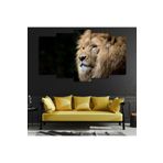 Zevahir Aslan Ekstra Dayanıklı Solmaz 100x60 Gümüş 5 Parça MDF Tablo