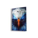 Zevahir Mobilya Dekorasyon Çerçevesiz Dikey Mavi Gözlü Beyaz Kartal Kırılmaz Cam Tablo - renkli 40 x 60