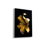 zevahir mobilya & dekorasyon Çerçevesiz Dikey Siyah Arka Planlı Sarı Çiçek Kırılmaz Cam Tablo, Renkli, 90 x 60