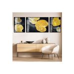 zevahir mobilya & dekorasyon Siyah Metal Çerçeveli Modern Çizim Soyut Desen Üçlü Kırılmaz Cam Tablo Seti, Siyah, 60 x 170