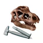 Zeycanhome Bilim Ve Oyun T-Rex Kazı Seti Kız Erkek Çocuk Oyuncak Eğitici Oyuncaklar