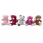 Zeycanhome Peluş Ayıcık 25Cm -1Adet Stokta Olan Gönderilir Kız Erkek Çocuk Oyuncak Eğitici Oyuncaklar