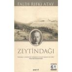 ZEYTİNDAĞI (CEP BOY) - FALIH RIFKI ATAY