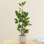 ZHDOKA 15.7 inç Yapay Yeşil Limon Portakal Saksı Bitkileri, Sahte Kırmızı Elma Nar Ağacı Bonsai, Masa Raf Ofis Odası Dekorasyon için Pot ile Sahte Yeşil Yapraklı Bitkiler(Yeşil Limon)