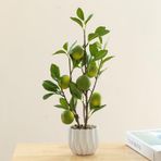 ZHDOKA 15.7 inç Yapay Yeşil Limon Portakal Saksı Bitkileri, Sahte Kırmızı Elma Nar Ağacı Bonsai, Masa Raf Ofis Odası Dekorasyon için Pot ile Sahte Yeşil Yapraklı Bitkiler(Yeşil Turuncu)