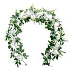 ZHDOKA 6.2ft Yapay Gül Çiçek Çelenk Rattan, Gül Çiçekleri ile Yeşil Okaliptüs Çelenk, Düğün Ev Masa Koşucu Manto Dekor için Sahte Ipek Çiçek Asılı Asma Rattan Çiçek Çelenk(Beyaz)