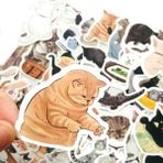 Zhuning Shop 1 A-54PCS Tarzı Sevimli Kediler Hayvan Grafiti Sticker Karışık Stil Oyuncaklar Bavul Laptop Bisiklet Bagaj Araba Scooter Kaykay Sticker (Yurt Dışından)