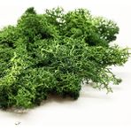 Zhuning Shop 1 Ordu Yeşili 100G Tarzı 30G Liken Yosun Kümesi Için Çalılar, Model Ağaçlar Yaprakları Ölçekli Model Yapı Malzemesi Minyatür Ağaç Model Demiryolu Diorama Layout (Yurt Dışından) - zanaat oyuncaklar