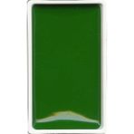 Zig Hookers Green 52 Gansai Tambi Tablet Sulu Boya