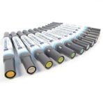 Zig Kurecolor Twin S Marker Kalem 12 RENK SET NATURAL COLORS