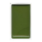 Zig Kuretake Gansai Tambi 54 Olive Green MC21/54 Sulu Boya