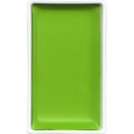 Zig MC21-59 Lime Green Gansai Tambi Sulu Boya Tablet