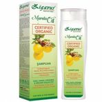 Zigavus 250 ml Marula Oil Şampuan