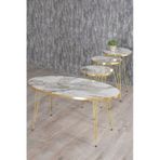 Zigon Sehpa Ve Orta Sehpa ELİPS Set Gold Efes Tel