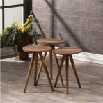 Zigon Sehpa Ve Orta Sehpa Kr Torna Ceviz Set 3006