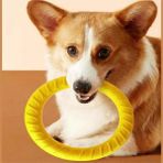 Zigver Köpek Halka sı Frisbeed Oyuncaklar Pet Uçan Disk Eğitim Halka sı Çektirme Anti-Isırık Yüzen Interaktif Malzemeleri Köpek A gresif Çiğneme Oyuncakları